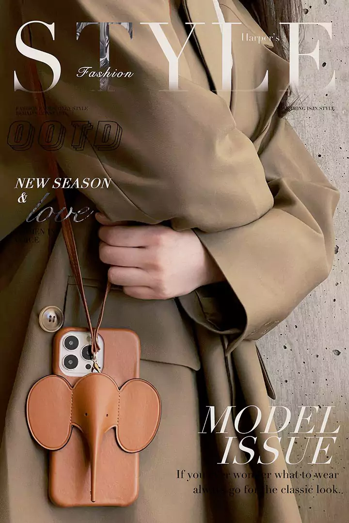 ロエベ iPhone16スマホカバー通販